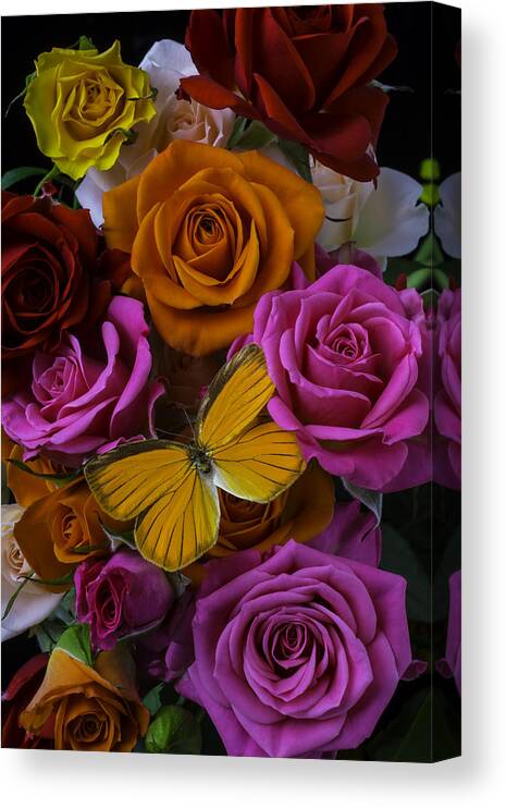 Rose Canvas Print featuring the photograph Orange Butterfly In Roses by Garry Gay