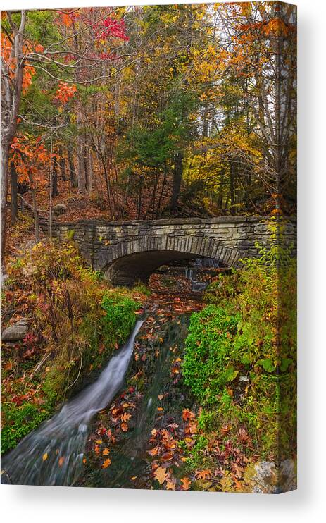 Letchworth State Park Canvas Print featuring the photograph Over The Stream by Mark Papke