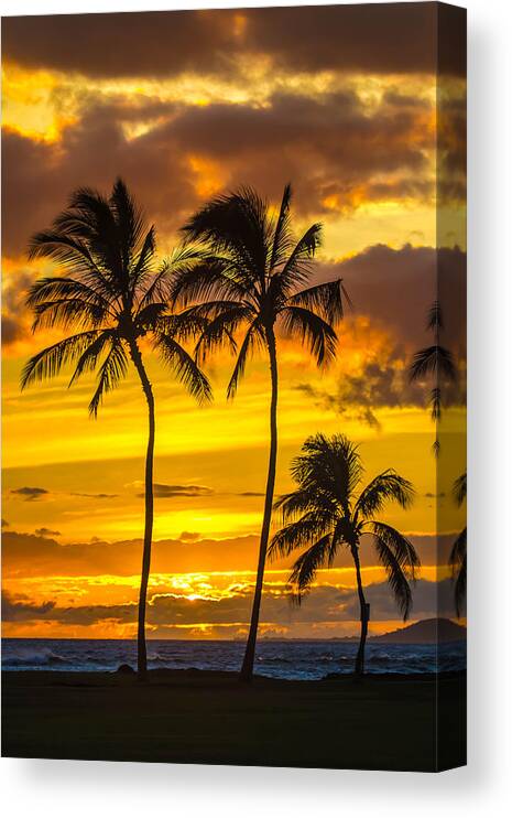  Canvas Print featuring the photograph Palm Family by Micah Roemmling