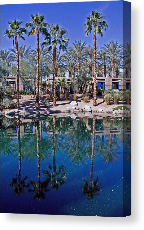 Palm Trees Canvas Print featuring the photograph Palm Tree Reflections by David Campbell