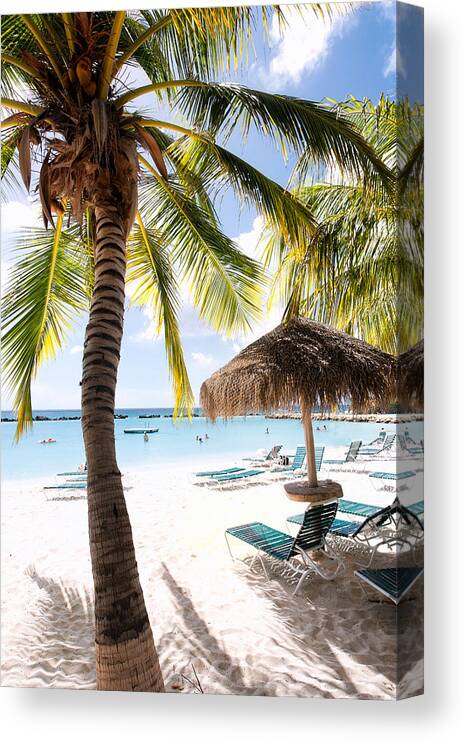 Antilles Canvas Print featuring the photograph Palm Trees and Palapa by George Oze