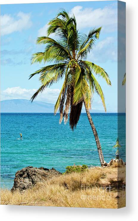 Hawaii Canvas Print featuring the photograph Palms on Hawaiian beach 12 by Micah May