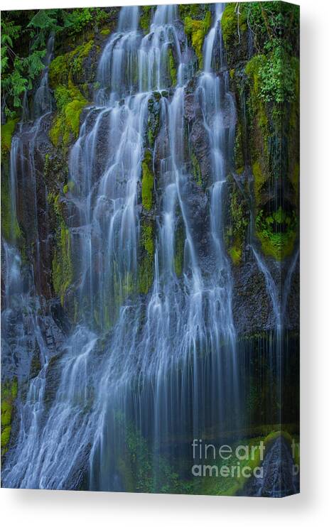 Images Canvas Print featuring the photograph Panther Creek Falls Summer Waterfall -close 2 by Rick Bures