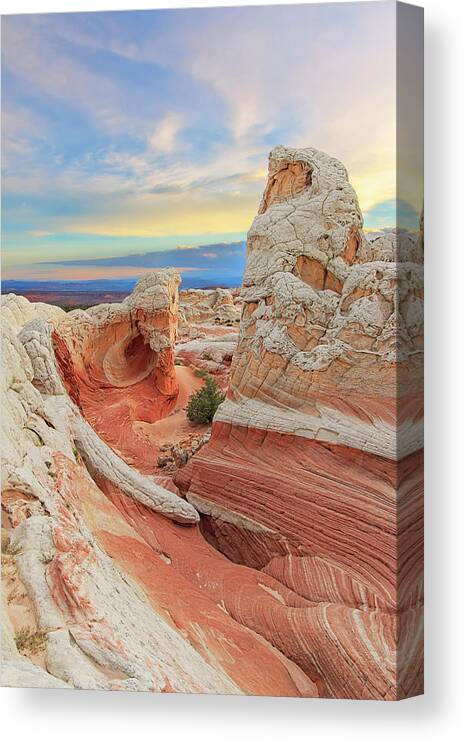 White Pocket Canvas Print featuring the photograph Pastel White Pocket by Ralf Rohner