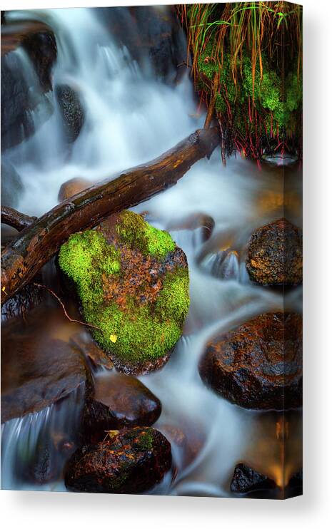 Colorado Canvas Print featuring the photograph Peace In The Rockies by John De Bord