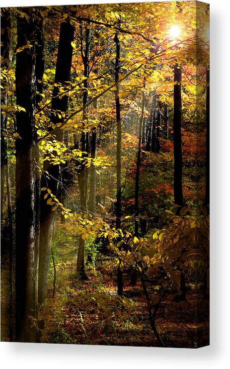 Landscape Canvas Print featuring the photograph Peaceful Guidance by Diana Angstadt
