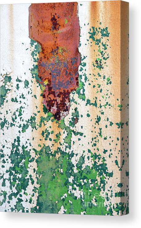 Rust Canvas Print featuring the photograph Peeling Away Time by Tim Gainey