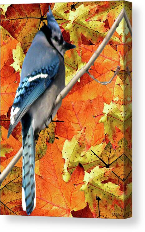 Perched In Autumn Canvas Print featuring the photograph Perched In Autumn by Debra   Vatalaro