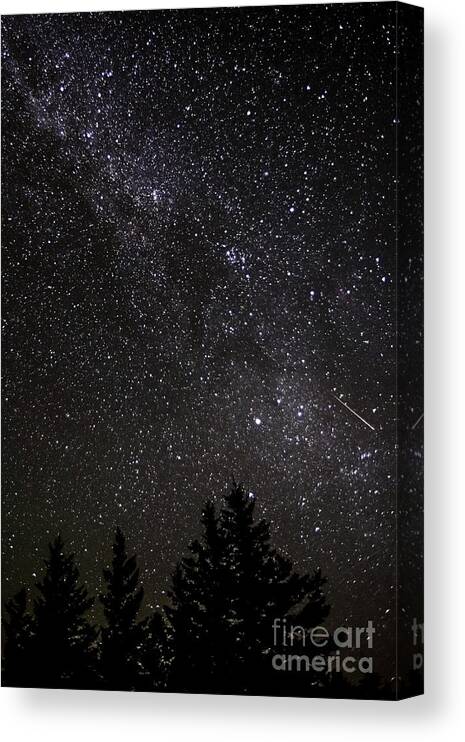 Meteor Canvas Print featuring the photograph Perseid Meteor and Milky Way by Thomas R Fletcher