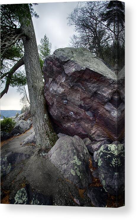Wisconsin Canvas Print featuring the photograph Perseverance by CA Johnson