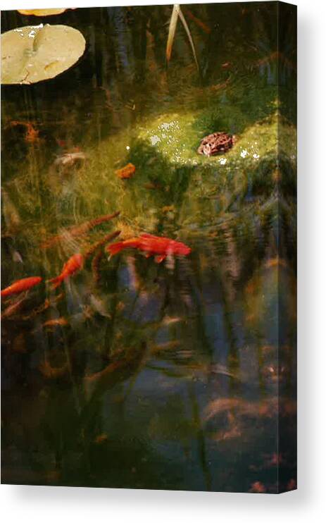Abstract Canvas Print featuring the photograph Photo Bomber by Susan Esbensen