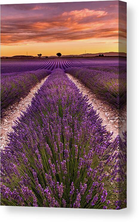 Landscape Canvas Print featuring the photograph Piece of mind by Jorge Maia