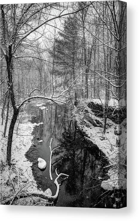 Snow Canvas Print featuring the photograph Pine Reflection on the Sheepscot by John Meader