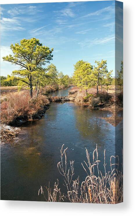 New Jersey Canvas Print featuring the photograph Pinelands Water Way by Kristia Adams