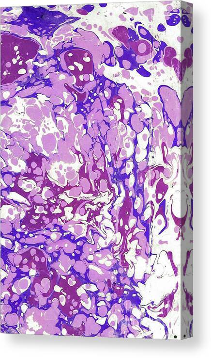Ebru Canvas Print featuring the painting Pink Battal #2 by Daniela Easter
