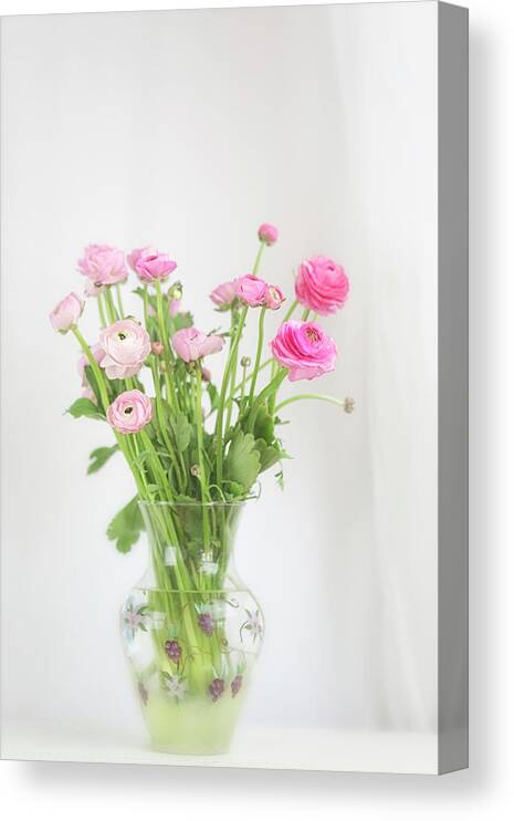Ranunculus Canvas Print featuring the photograph Pink Ranunculus in Glass Vase by Susan Gary
