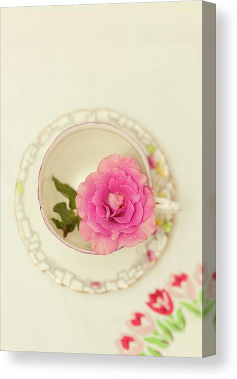 Pink Canvas Print featuring the photograph Pink Rose in Teacup by Susan Gary