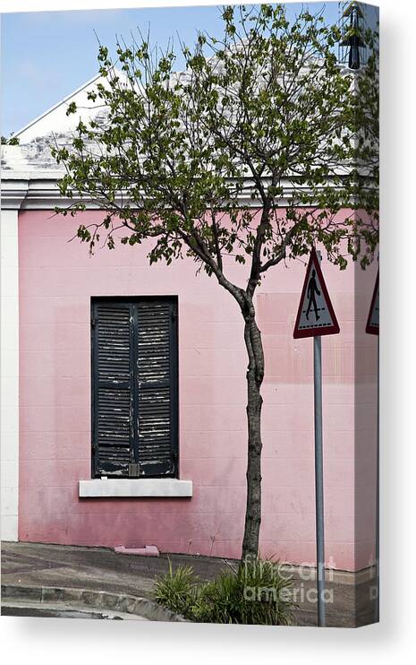 Wall Canvas Print featuring the photograph Pink Walk by Kathy Strauss