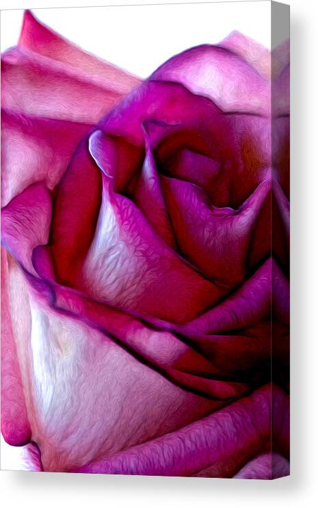 Rose Canvas Print featuring the photograph Pinked Rose Details by Bill and Linda Tiepelman
