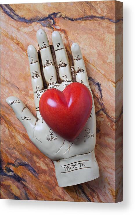 Palm Reader Hand Canvas Print featuring the photograph Plam reader hand holding red stone heart by Garry Gay