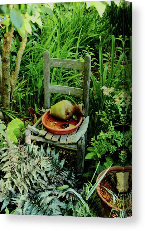 Plants Canvas Print featuring the photograph Plants and Simple Things by Allen Nice-Webb