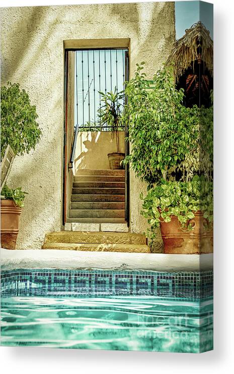 La Paz Canvas Print featuring the photograph Poolside Baja by Becqi Sherman