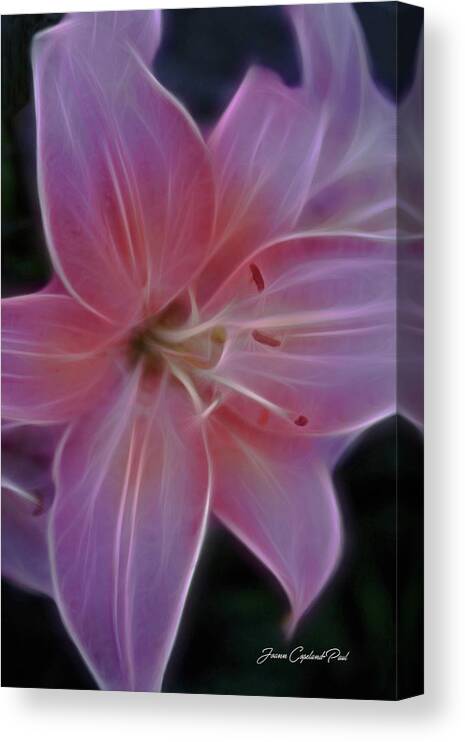 Pink Lily Photographs Canvas Print featuring the photograph Precious Pink Lily by Joann Copeland-Paul