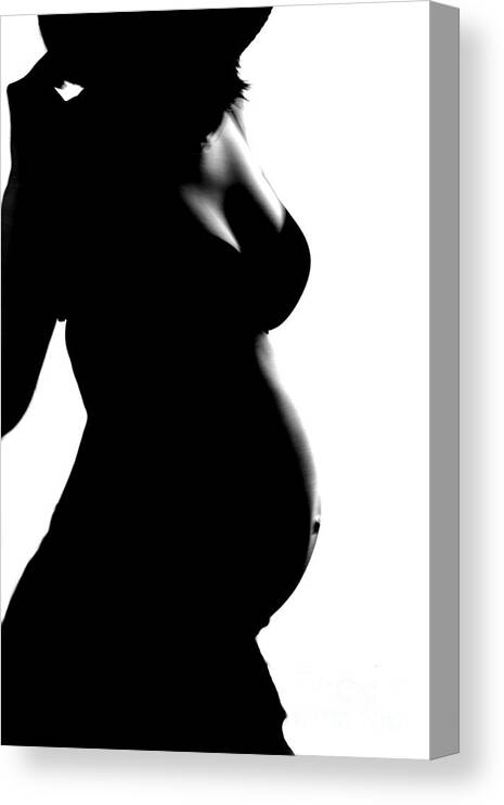Pregnant woman silhouette Canvas Print / Canvas Art by Sophie Vigneault - Fine  Art America
