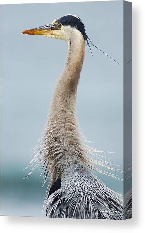  Canvas Print featuring the photograph Primal by Sherry Clark