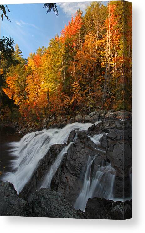 Waterfall Canvas Print featuring the photograph Profile Falls by Juergen Roth