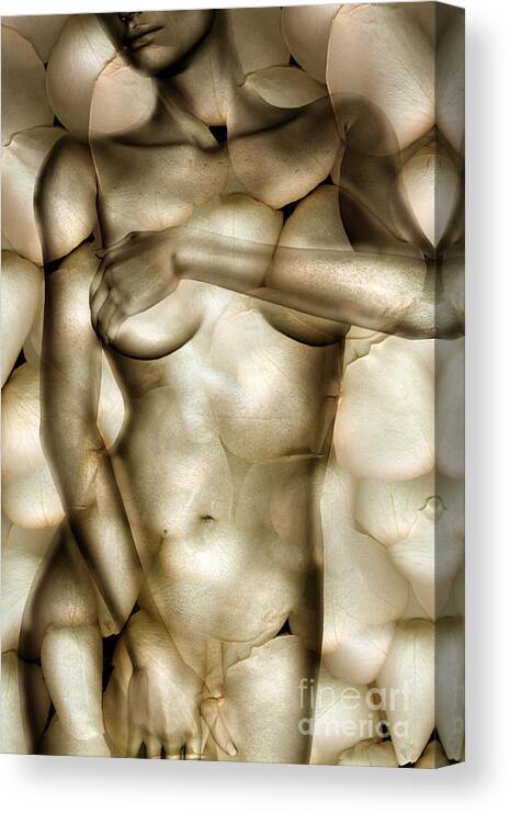 Woman Canvas Print featuring the photograph Protected by Jacky Gerritsen