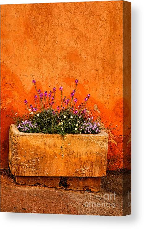 Provence Canvas Print featuring the photograph Provencal Melody by Olivier Le Queinec