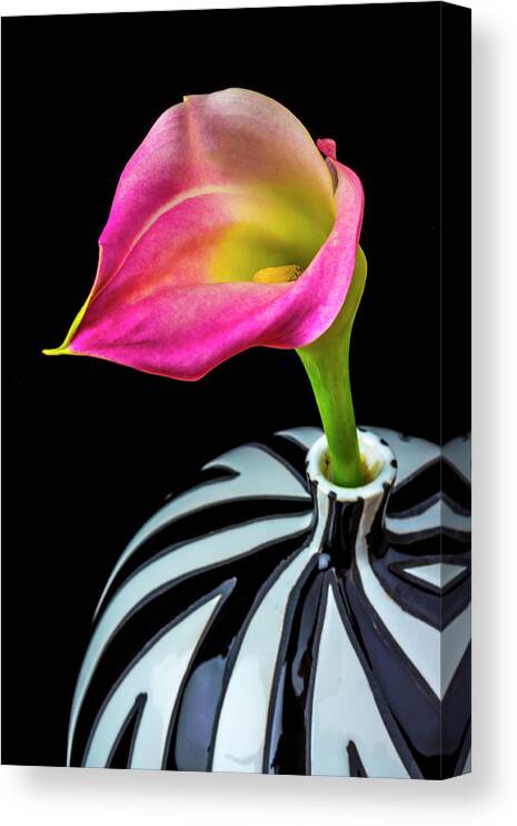 Purple Canvas Print featuring the photograph Purple Cala Lily In Striped Vase by Garry Gay