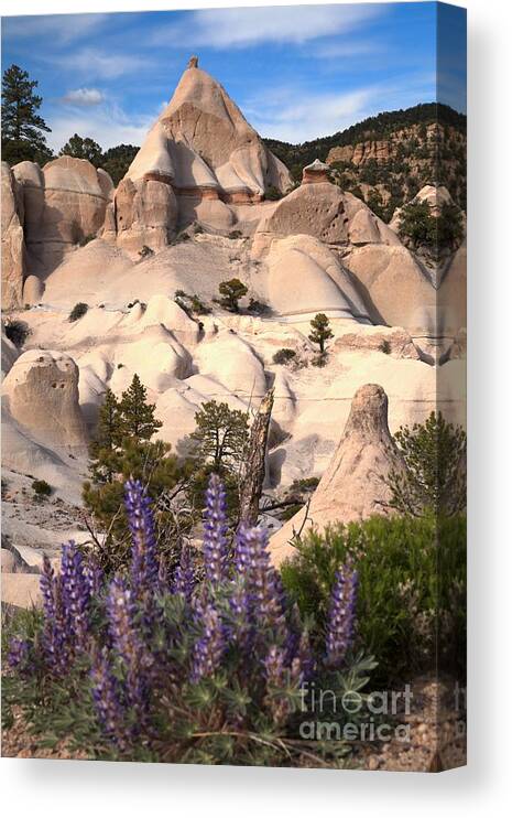 Tent Rocks Canvas Print featuring the photograph Purple Flowers At Tent Rock Canyon by Adam Jewell