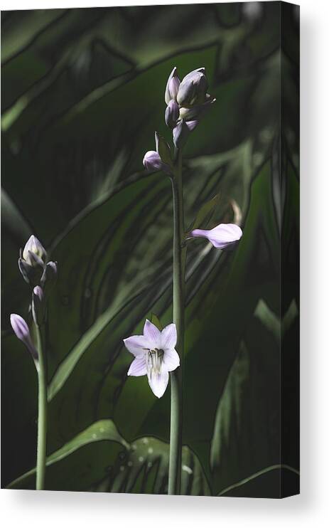Flower Canvas Print featuring the photograph Quiet Life by Cheryl Charette