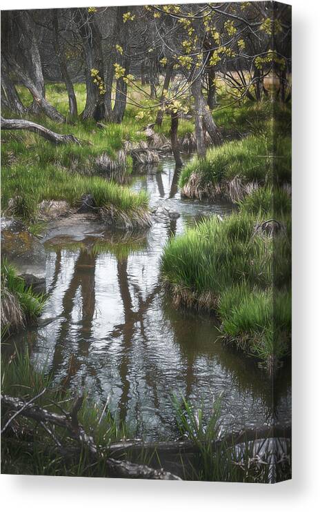 Stream Canvas Print featuring the photograph Quiet Stream by Scott Norris