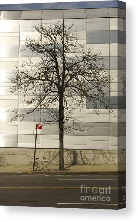 Tree Canvas Print featuring the photograph Rage Against The Sign by Scott Evers