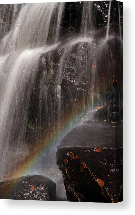 Chapman Falls Canvas Print featuring the photograph Rainbow and Chapman Falls by Juergen Roth