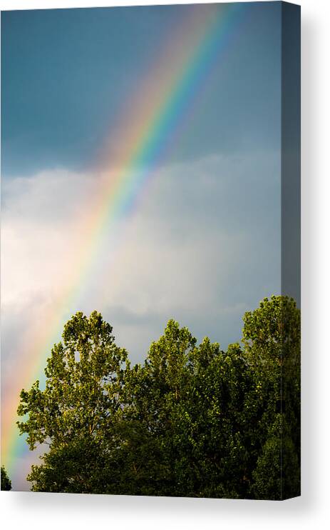 Rainbow Canvas Print featuring the photograph Rainbow by Holden The Moment