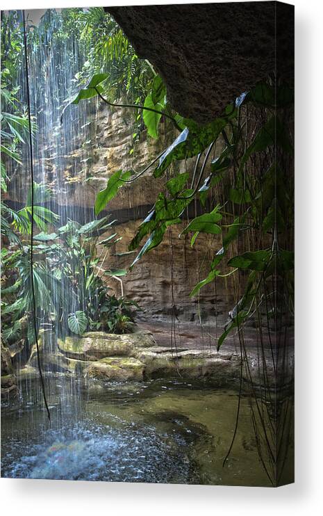 Botanical Canvas Print featuring the photograph Rainforest Waterfall by James Woody