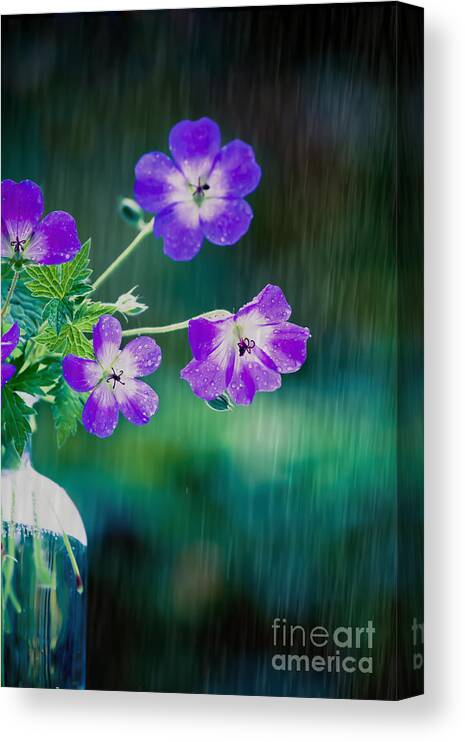 Flower Canvas Print featuring the photograph Rainy Days and Mondays by Jan Bickerton