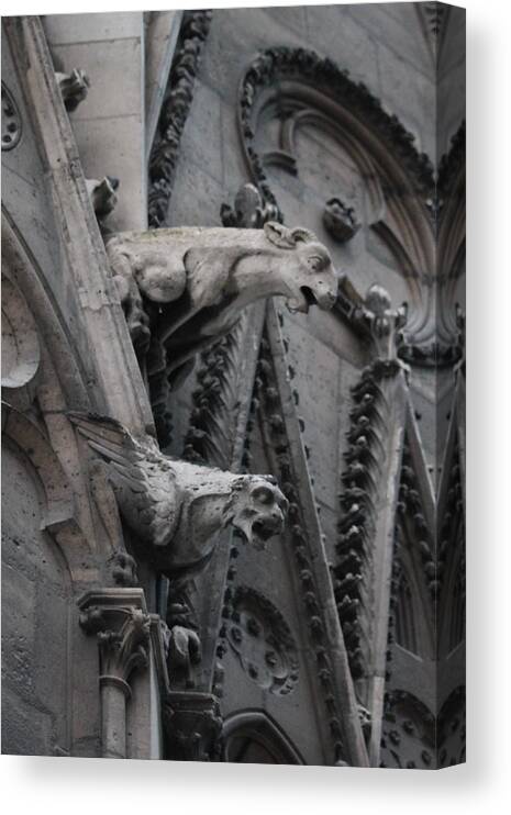 Ram Griffon Canvas Print featuring the photograph Ram and Eagle Griffon Notre Dame by Christopher J Kirby