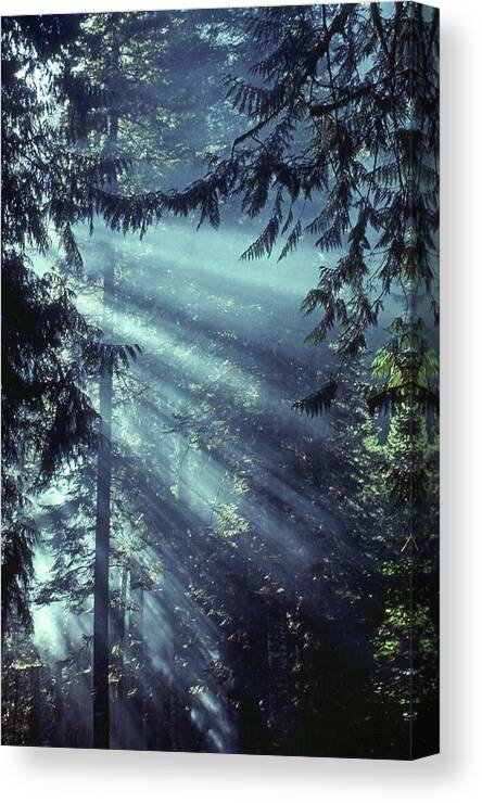  Canvas Print featuring the photograph Rays by Laurie Stewart