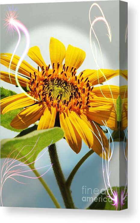 Sunflower Canvas Print featuring the photograph Reach for the Sun by Lori Mellen-Pagliaro