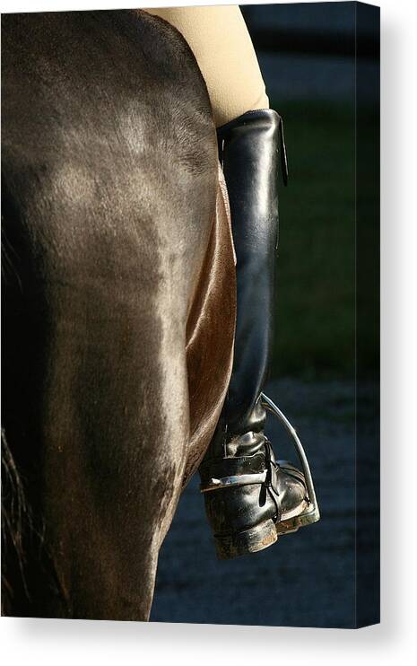 Spurs Canvas Print featuring the photograph Ready by Angela Rath