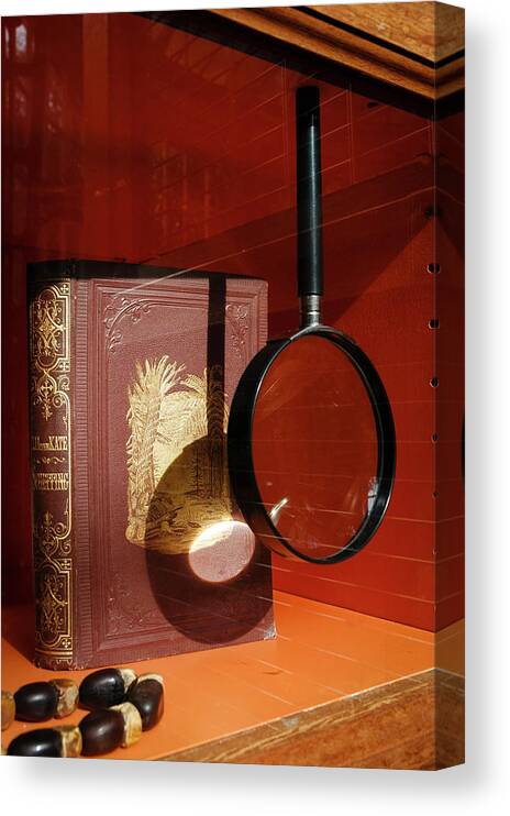 Still Life Canvas Print featuring the photograph Recipe for Disaster At The Museum by Mary Lee Dereske