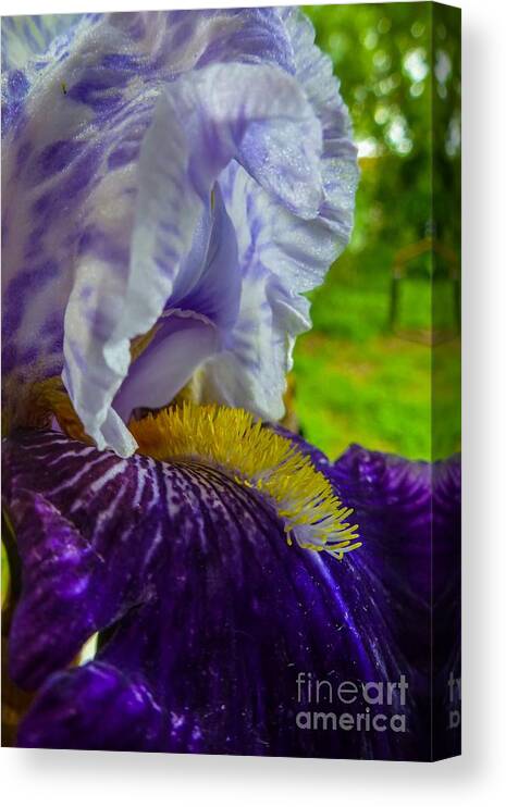 Beautiful Canvas Print featuring the photograph Recollection Spring 4 by Jean Bernard Roussilhe