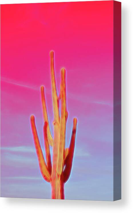 Saguaro Canvas Print featuring the photograph Red Glow Saguaro Cactus by Aimee L Maher ALM GALLERY