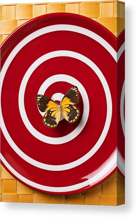  Butterfly Canvas Print featuring the photograph Red plate and yellow black butterfly by Garry Gay