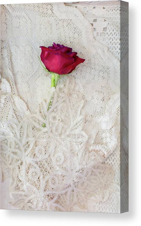 Red Canvas Print featuring the photograph Red Rose on Lace by Susan Gary